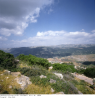 LKAS_AS-6_Nr-10584
