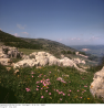 LKAS_AS-6_Nr-10683