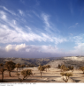 LKAS_AS-6_Nr-10977